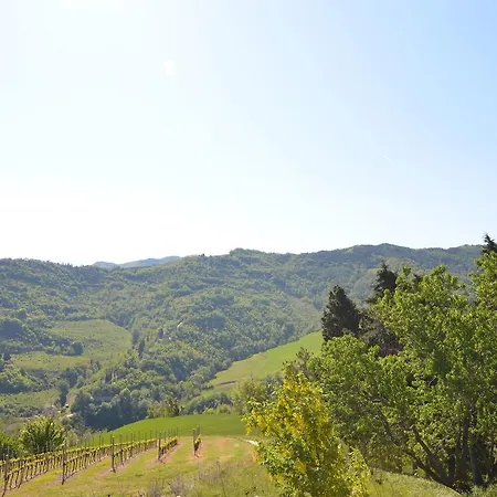 Heritage In Emilia-romagna With Barbeque דירה *
