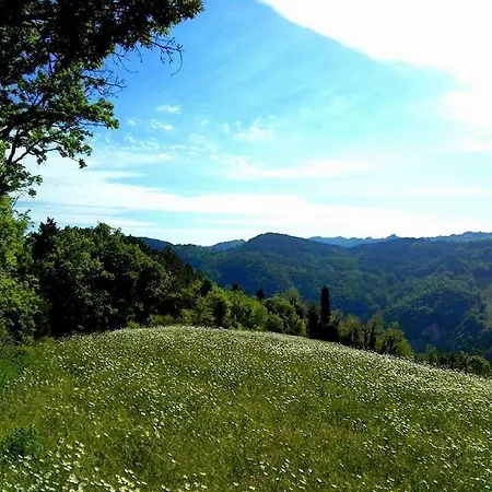 Heritage In Emilia-romagna With Barbeque דירה