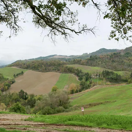 Heritage In Emilia-romagna With Barbeque