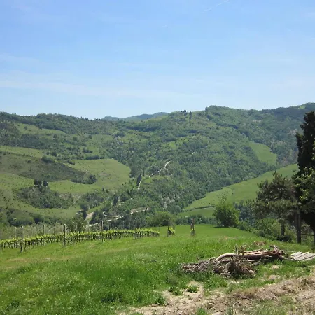 Heritage In Emilia-romagna With Barbeque דירה Modigliana